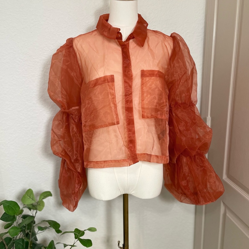 Anthropologie Sunday in Brooklyn Sheer Organza Puff Sleeve Blouse – Size L (NWT)